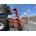 Henificador Kuhn GF 6401 MH__CBA - Imagen 2
